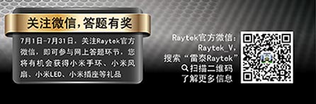 Raytek logo